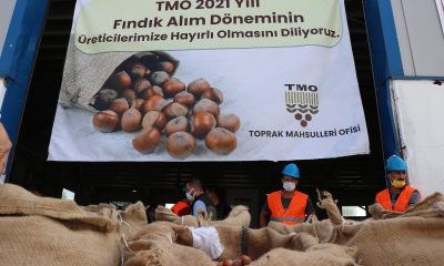 2021 yılı ilk fındık alımı törenle Sakarya’da gerçekleşti