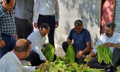 AK Parti heyeti Kahta’nın merkez ve köylerini gezdi