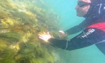 Başkan Dr. Metin Oral, dalış yapıp arkeolojik çalışmaları gözlemledi: