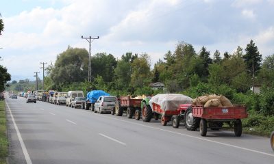 Bu da fındık kuyruğu