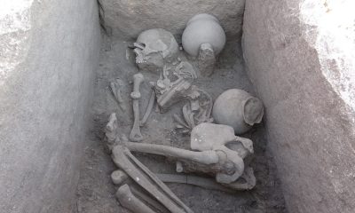 Çayönü Höyüğü’nden sandık tipi mezar çıktı