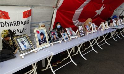 Direniş devam ediyor, çığlıkları dağ gibi yükseliyor