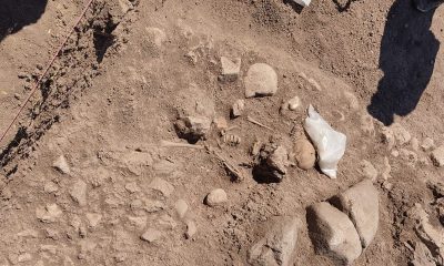 Domuztepe Höyüğü’nde Orta Çağ’da yaşamış çocuğun iskeleti bulundu
