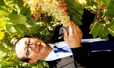 Japon Başkonsolos, Sarıgöl üzümlerine hayran kaldı