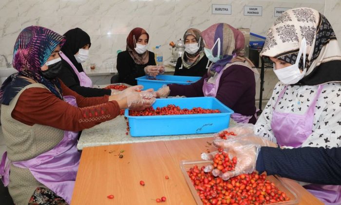 Kadınlar hem üretiyor hem de bütçelerine katkı sağlıyor