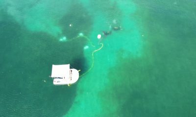 Karadeniz’in dibinde nefes kesen keşif