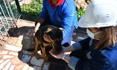 KARDEMİR’den patilere uzanan yardım