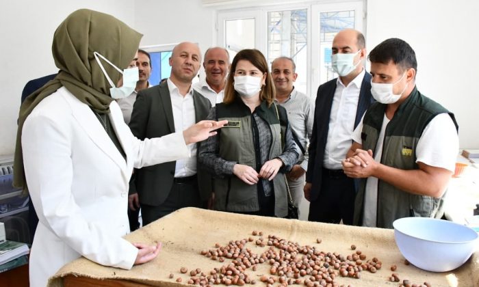 Kılıç: “Fındık bizim olmazsa olmazımız”