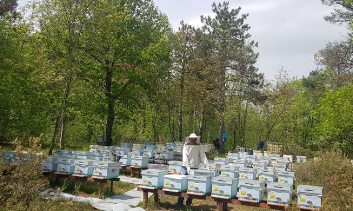 Kırklareli’nde meşe balı üreticileri denetlendi