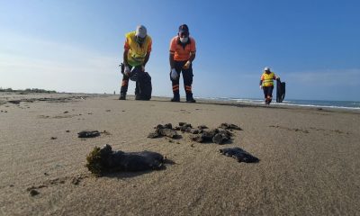 Mersin sahillerinde Suriye kaynaklı petrol sızıntısına karşı temizlik yapıldı