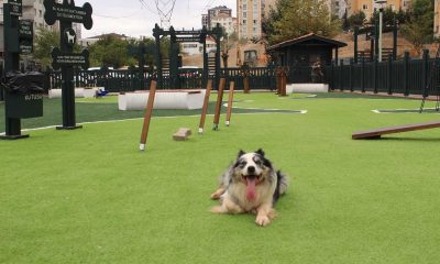 ‘Minik Dostlar’ hayvan parkı Ümraniye’de açıldı
