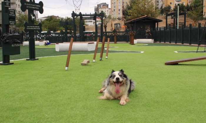 ‘Minik Dostlar’ hayvan parkı Ümraniye’de açıldı