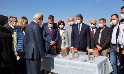 Müsilaj araştırma komisyonu İzmit Körfezi’nde incelemelerde bulundu