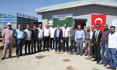 Muş’un Malazgirt ilçesinde pancar alım kampanyası başladı