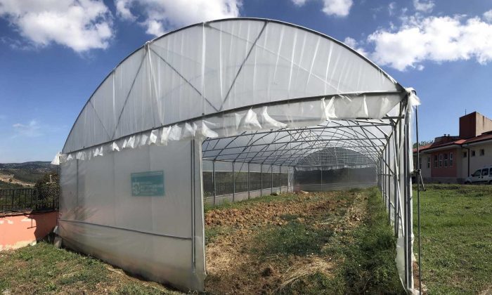 Özel bireyler, serada sebze yetiştirilerek rehabilite ediliyor