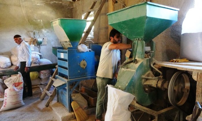 (Özel haber) Van’da üniversite mezunu genç atadan kalma değirmeni işletiyor