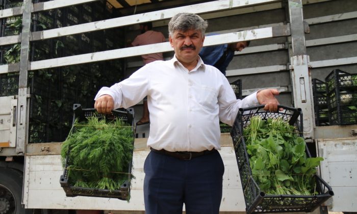 Tarladan ucuza alınan sebzede fahiş fiyatlar tüketiciyi mağdur ediyor