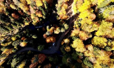 Türkiye’nin en büyük blok ormanlarına giriş-çıkış yasağı uzatıldı