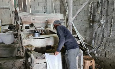 200 yıllık değirmenin taşı geleneksel yöntemlerle dönüyor