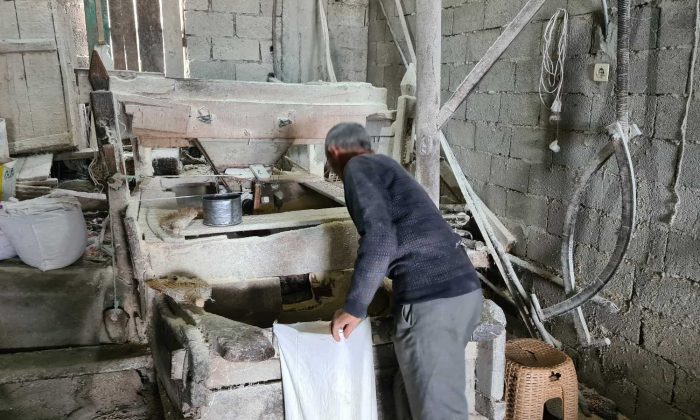 200 yıllık değirmenin taşı geleneksel yöntemlerle dönüyor