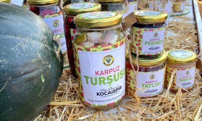 “Adana karpuzu” festivale damga vurdu