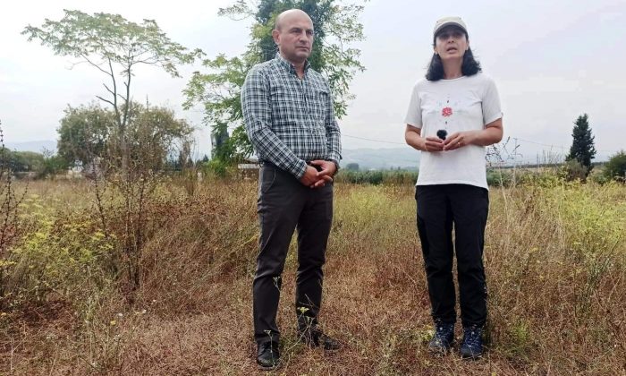 Altınova’da Helenistik dönemden bulgulara rastlandı