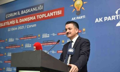 Bakan Pakdemirli: “Türkiye’nin kaderini Millet İttifakı’na terk edemeyiz”