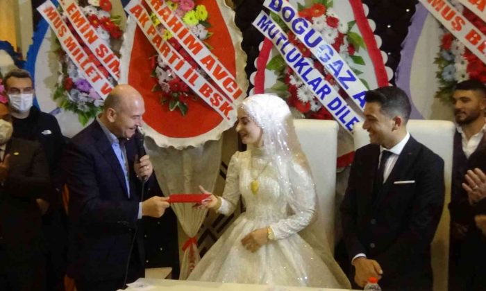 Bakan Soylu, Muş’ta nikah şahitliği yaptı