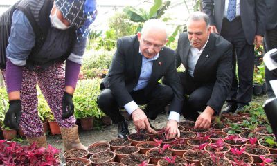 CHP Genel Başkanı Kılıçdaroğlu kadınlarla çiçek dikti