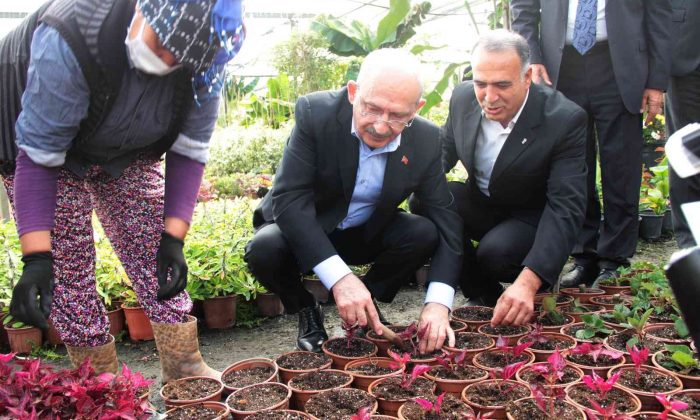 CHP Genel Başkanı Kılıçdaroğlu kadınlarla çiçek dikti