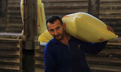 Çiftçilere destek sürüyor