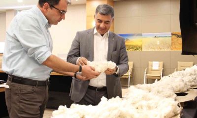 Diyarbakır Ticaret Borsası’nda online pamuk alım satımı