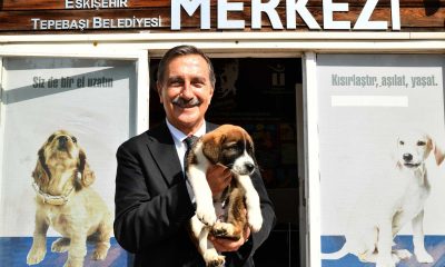 Hayvan dostlarına teşekkür edildi