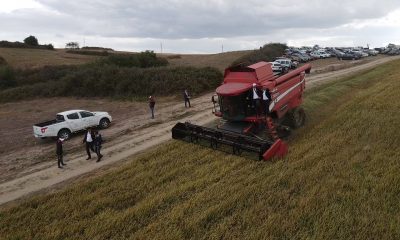 İpsala’da damlama sulama ile ilk defa ekilen çeltiğin hasadı yapıldı