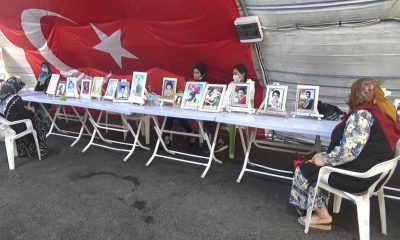 Kandırılarak dağa götürülen hukuk fakültesi öğrencisinin babası oğlunu HDP’den istiyor