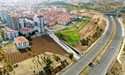 KKTC Parkı ve Kıbrıs Şehitleri Hatıra Ormanı açıldı