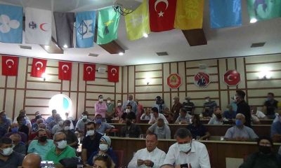 Muz fiyatındaki dalgalanma üreticileri bir araya getirdi