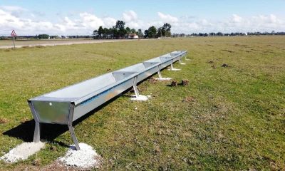 Samsun’da 60 mahalleye hayvanlar için 300 suluk