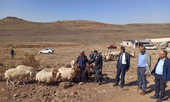 Sarıçiçek Yaylasındaki su sıkıntısı çözüme kavuşuyor