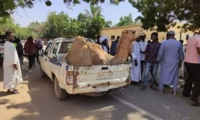 Sudan’da sivil protestocular nöbette