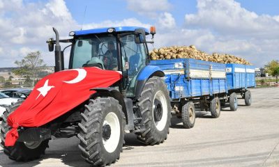Susurluk Şeker Fabrikasında pancar alımı başladı