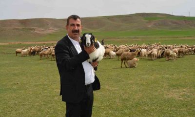 TÜDKİYEB Genel Başkanı Çelik: “Sürü büyütme ve yenileme desteği 100 liradan 125 liraya, çoban istihdam desteği 5 bin liradan 6 bin liraya yükseltildi”