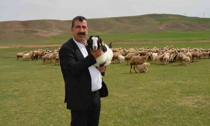 TÜDKİYEB Genel Başkanı Çelik: “Sürü büyütme ve yenileme desteği 100 liradan 125 liraya, çoban istihdam desteği 5 bin liradan 6 bin liraya yükseltildi”
