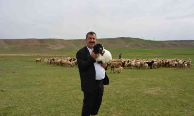 TÜDKİYEB Genel Başkanı Çelik: “Ülkemiz için sağlıklı doğal gıdalara ulaşmada küçükbaş hayvancılık en büyük şansımızdır”