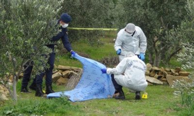 Zeytin ağacı yüzünden kardeşini öldüren ağabey, 17 yıl 6 ay hapis cezasına çarptırıldı