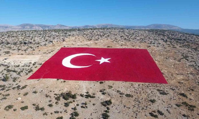 22 dönümlük araziye işlenen dev Türk bayrağı 20 günde boyandı