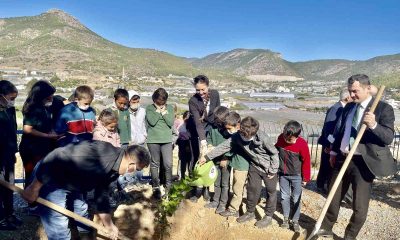 Akkuyu Nükleer A.Ş. temsilcileri, öğrencilerle birlikte mandalina fidanı dikti