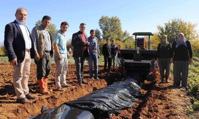 Alaşehir’de çilek üreticilerini sevindiren hizmet: Bir günlük işi iki saatte yapıyor