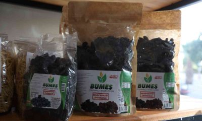 Aydın Büyükşehir Belediyesi’nden Buharkent üreticisine destek