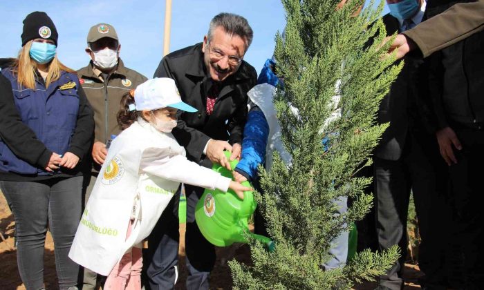 Aydın’da 8 milyon fidan toprakla buluştu